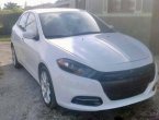 2013 Dodge Dart in Florida