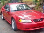 Mustang was SOLD for only $1600...!