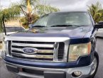 2010 Ford F-150 in FL
