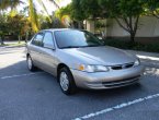 1999 Toyota Corolla - Palm Beach Gardens, FL
