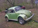 1976 Volkswagen Beetle in Tennessee