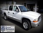 Dakota was SOLD for only $6995...!