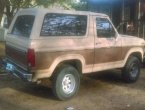 1985 Ford Bronco - Bald Knob, AR
