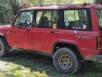 1989 Isuzu Trooper (Red)