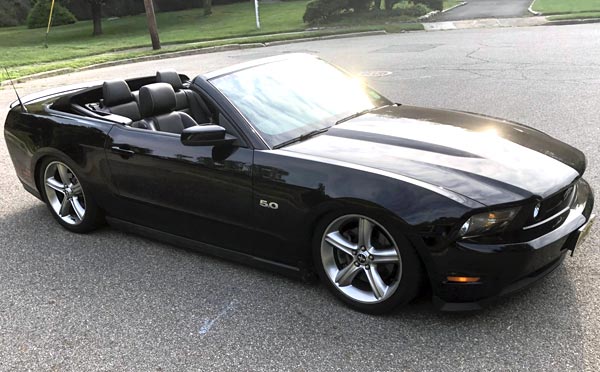 black Mustang