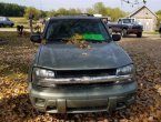 2003 Chevrolet Trailblazer - Vestaburg, MI