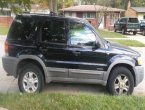 2001 Ford Escape - Flat Rock, MI