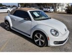 Beetle was SOLD for only $12970...!