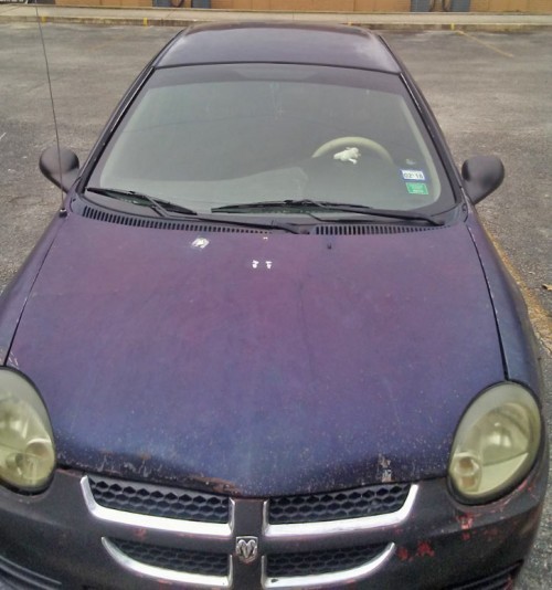 Cheap 1Owner Car San Antonio, TX 1000 or Less Dodge Neon SXT '05