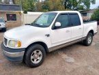 2001 Ford F-150 in TX
