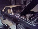 1979 Ford Mustang under $5000 in Colorado