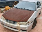 2001 Toyota Corolla - Hialeah, FL