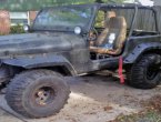 1995 Jeep Wrangler in Florida