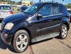 2010 Mercedes Benz M-Class in Texas