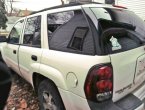 2004 Chevrolet Trailblazer in Michigan