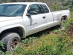 2000 Dodge Dakota in North Carolina