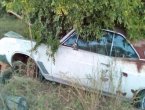 1967 Buick Skylark in Texas