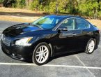 2010 Nissan Maxima in AL