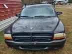 1999 Dodge Dakota in TN