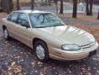 Lumina was SOLD for only $995...!