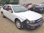 Maxima was SOLD for only $800...!