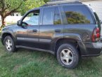 2003 Chevrolet Trailblazer - Southgate, MI