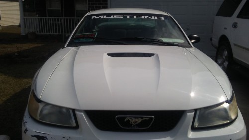 Gmc Dealers In Sc >> Ford Mustang V6 '00, Muscle Car Under $4K, Columbia SC, By Owner - Autopten.com Gmc Dealers In Sc >> Ford Mustang V6 '00, Muscle Car Under $4K, Columbia SC, By Owner - Autopten.com