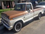 1973 Ford F-100 in Texas