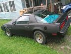 1989 Pontiac Firebird - Findlay, OH